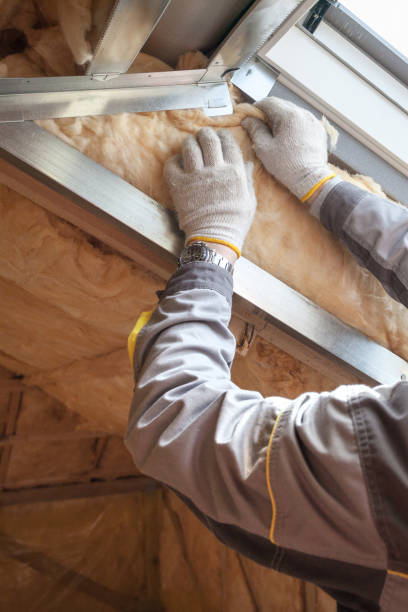 Professional Insulation Contractor in La Homa, TX