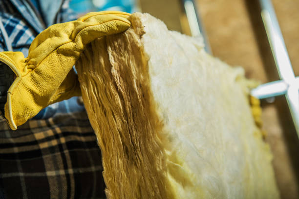 Best Insulation Replacement Services  in La Homa, TX